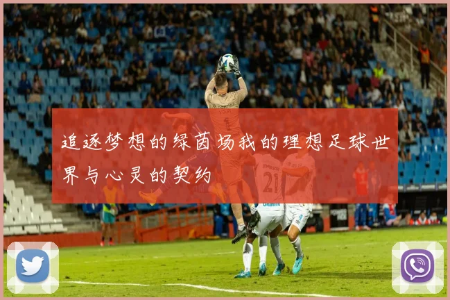 追逐梦想的绿茵场我的理想足球世界与心灵的契约