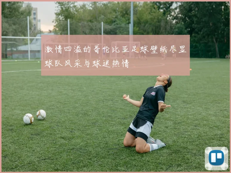 激情四溢的哥伦比亚足球壁纸尽显球队风采与球迷热情